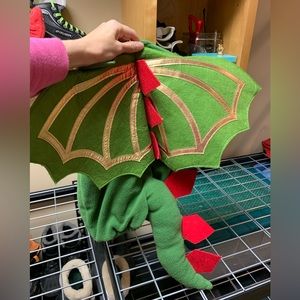 Pottery barn kids dragon costume 2-3 years old.